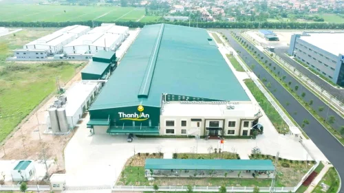 Thi công nhà máy sữa Vietngucoc tại Hà Nam